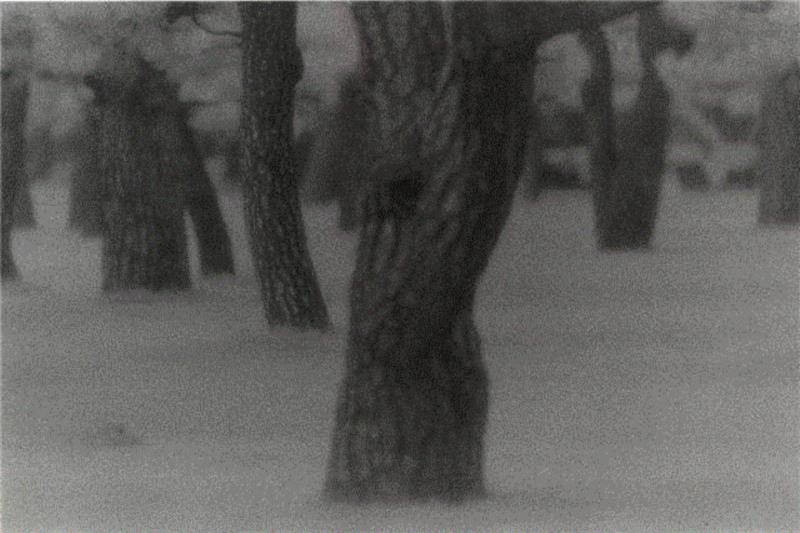 亦安画廊 | 须田一政