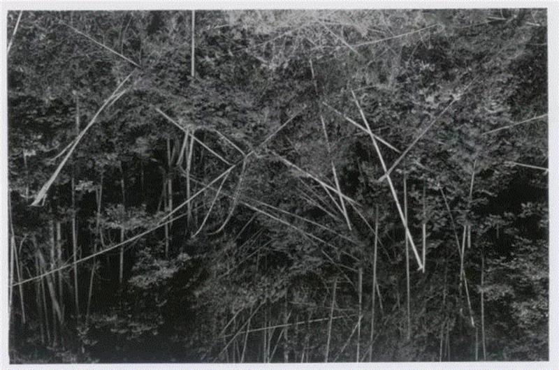 亦安画廊 | 须田一政