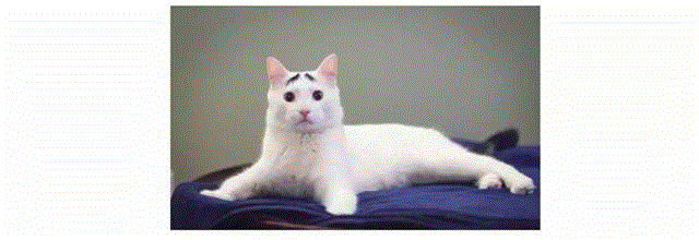 矮个子男生追高个子女生，是什么样的体验？