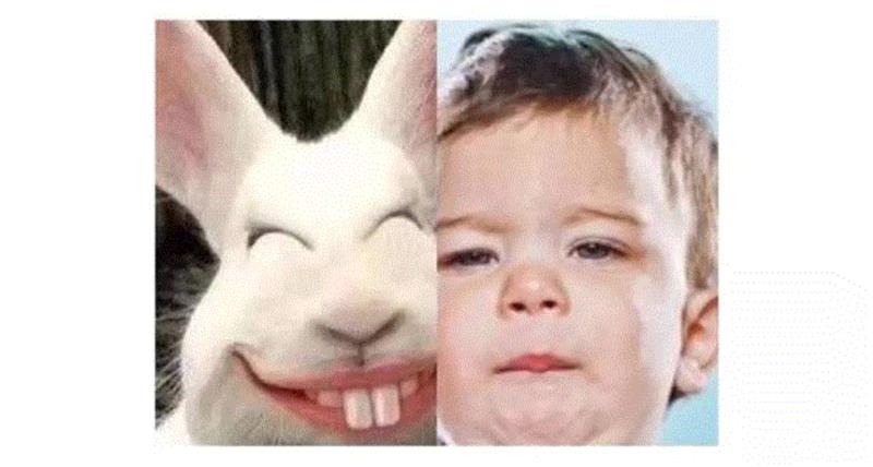 矮个子男生追高个子女生，是什么样的体验？