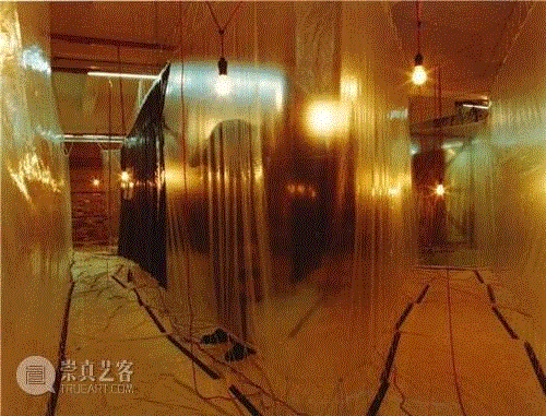 陈劭雄丨存在的虚无与生命的短暂,陈劭雄,大尾象工作组,当代艺术,上海当代艺术博物馆,影像,装置