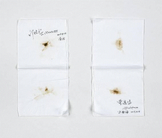 展览中的艺术家 | 王轶琼 | 10年（2006—2016）——宋庄美术馆建馆十周年特展