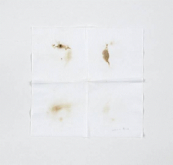 展览中的艺术家 | 王轶琼 | 10年（2006—2016）——宋庄美术馆建馆十周年特展