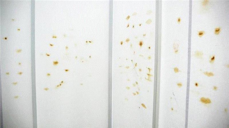 展览中的艺术家 | 王轶琼 | 10年（2006—2016）——宋庄美术馆建馆十周年特展