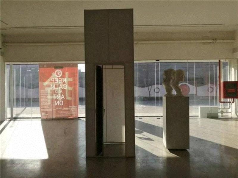 展览中的艺术家 | 王轶琼 | 10年（2006—2016）——宋庄美术馆建馆十周年特展