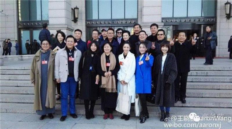 文艺 ▎赵薇、胡歌、佟丽娅去人民大会堂开会，穿成这样你认识吗