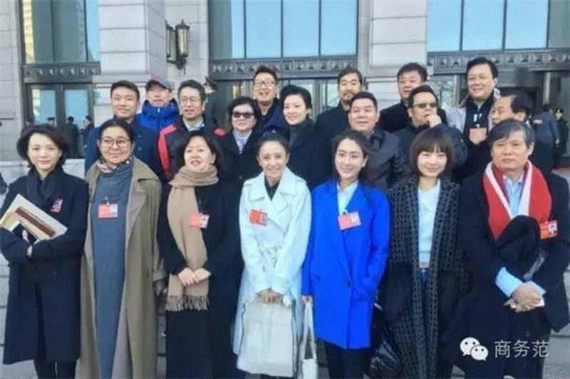 文艺 ▎赵薇、胡歌、佟丽娅去人民大会堂开会，穿成这样你认识吗