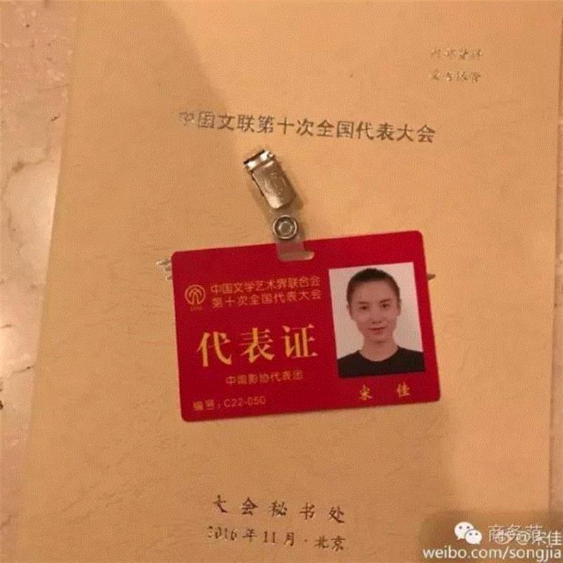 文艺 ▎赵薇、胡歌、佟丽娅去人民大会堂开会，穿成这样你认识吗