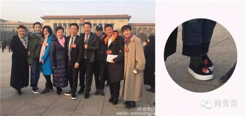 文艺 ▎赵薇、胡歌、佟丽娅去人民大会堂开会，穿成这样你认识吗