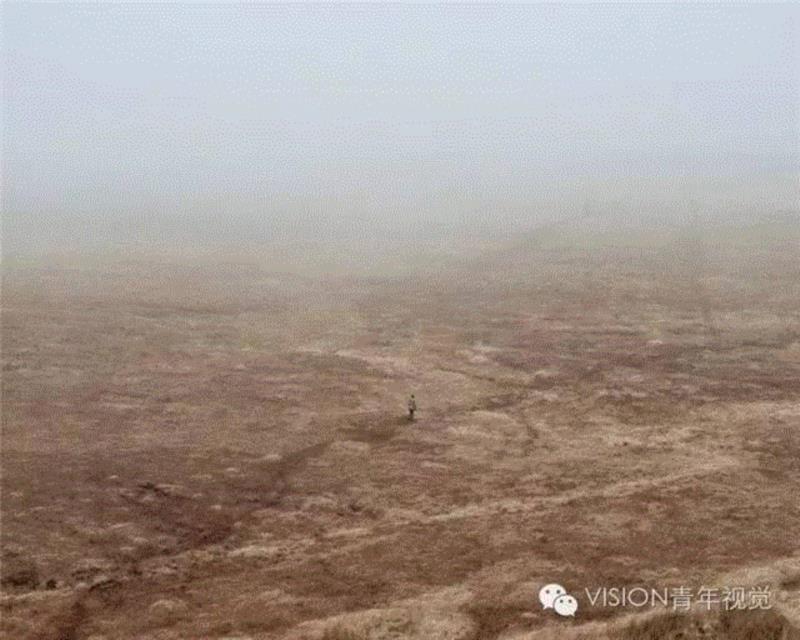 【VISION - PHOTO ESSAY】沼泽里的生存法则