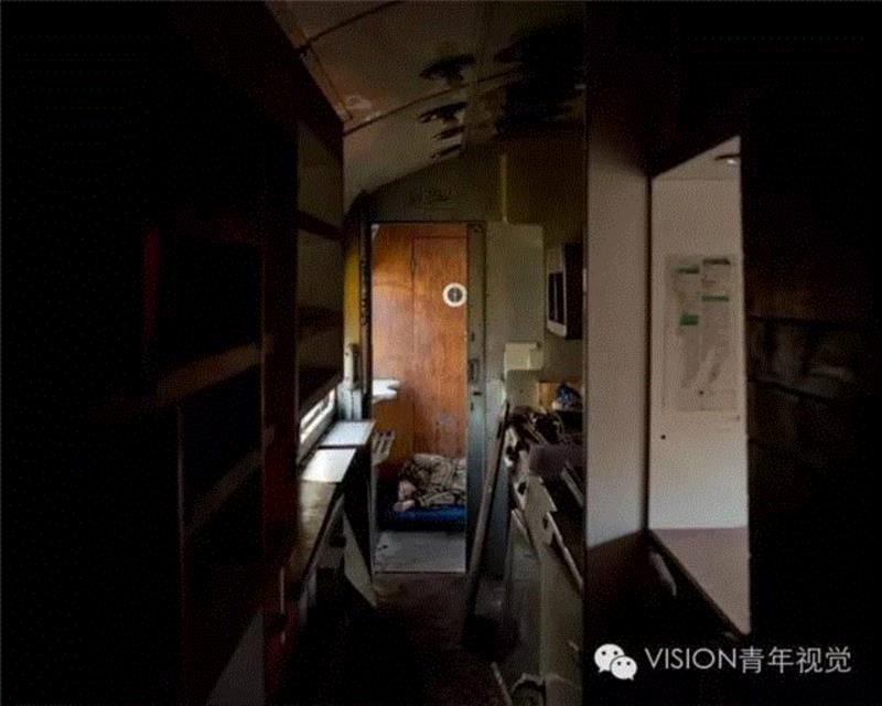 【VISION - PHOTO ESSAY】沼泽里的生存法则