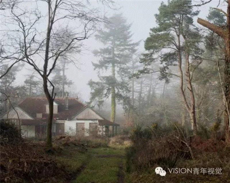 【VISION - PHOTO ESSAY】沼泽里的生存法则