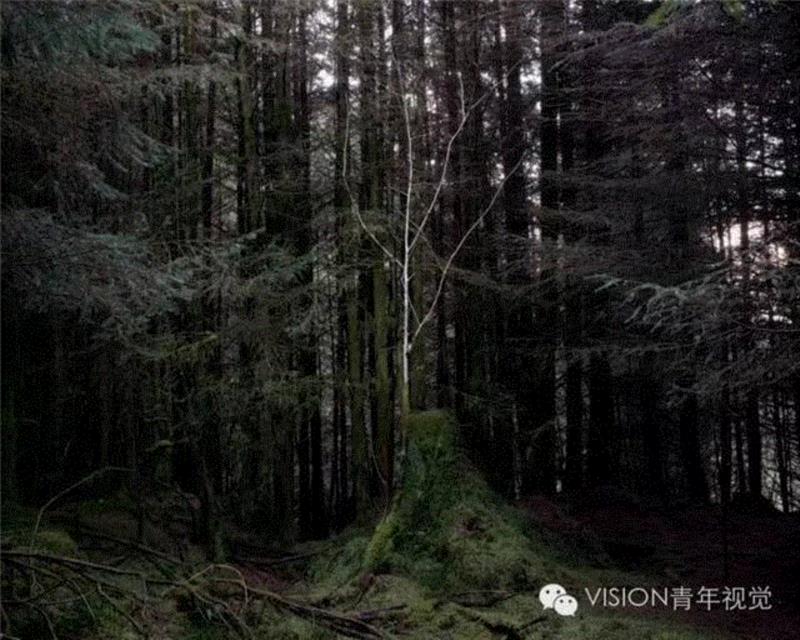 【VISION - PHOTO ESSAY】沼泽里的生存法则