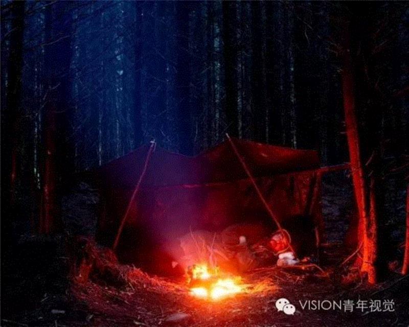 【VISION - PHOTO ESSAY】沼泽里的生存法则