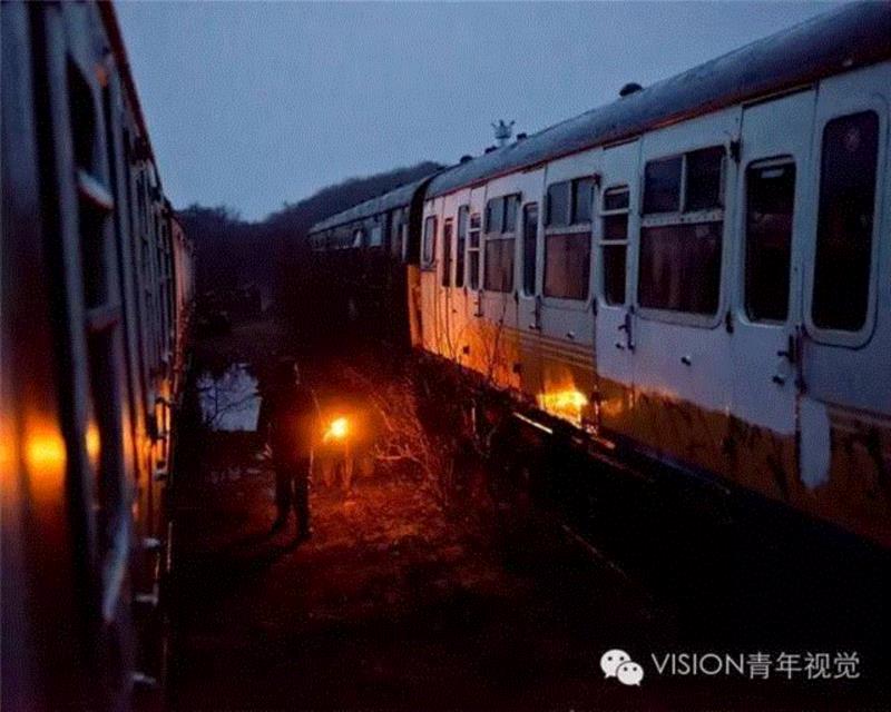 【VISION - PHOTO ESSAY】沼泽里的生存法则