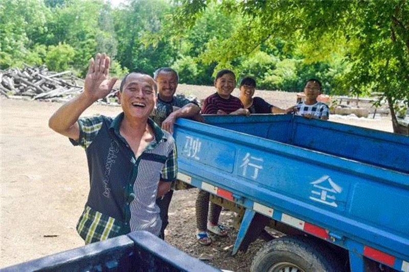 他等待蜜蜂扇动2亿次翅膀酿出最甜的蜜，结果被熊给偷了
