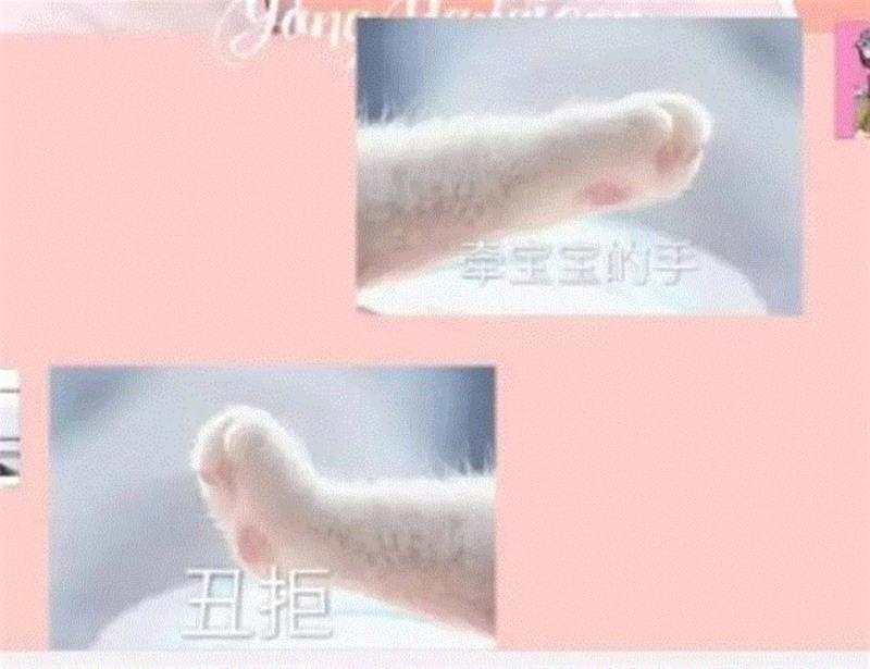 若不是因为爱着你，怎么会突然变傻逼？