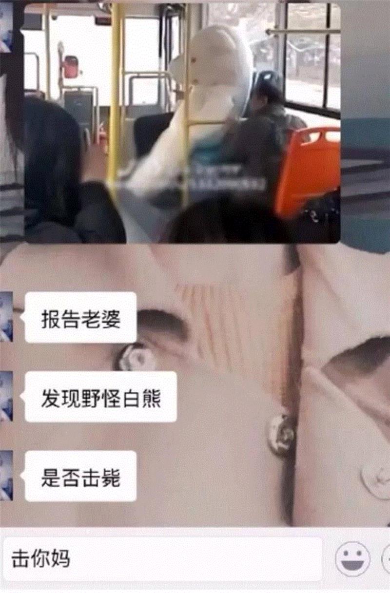 若不是因为爱着你，怎么会突然变傻逼？