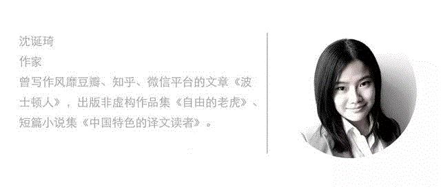 沈诞琦| 文学教会我的事