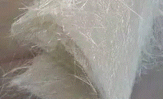 15岁男孩8年收集3万条牛仔裤用来造房子，只为保护地球！