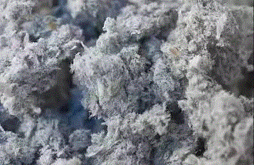 15岁男孩8年收集3万条牛仔裤用来造房子，只为保护地球！