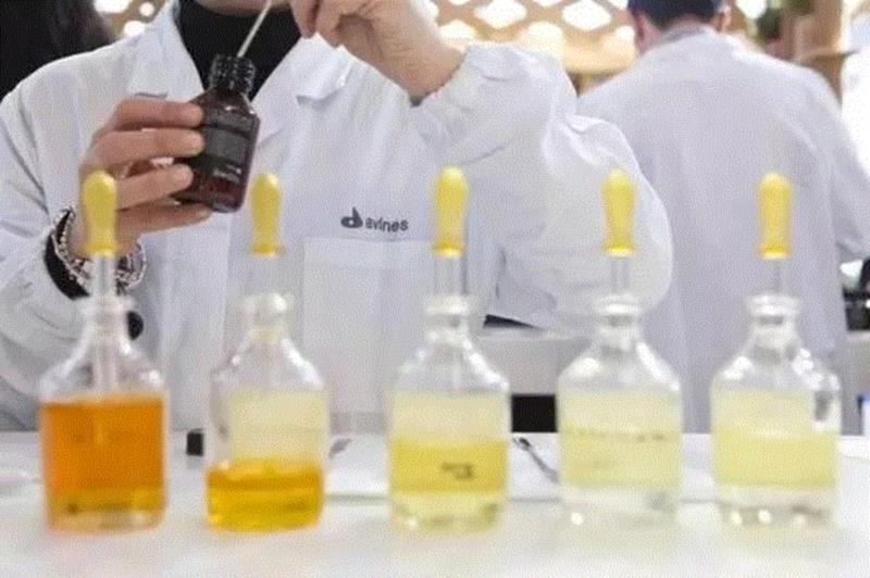 意大利人会撩妹，是从头开始的