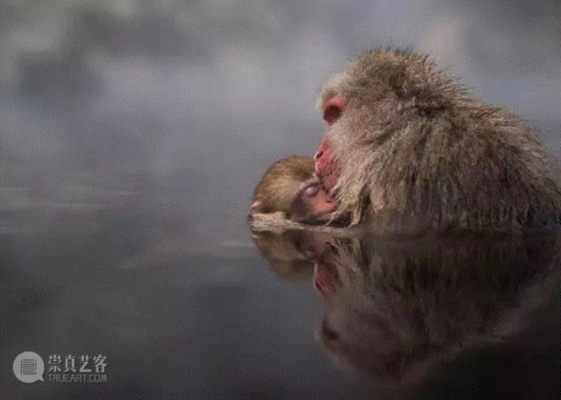 2016年最美的照片都在这了,国家地理杂志年度旅行照片,带你领略绝美地球 ,摄影,国家地理