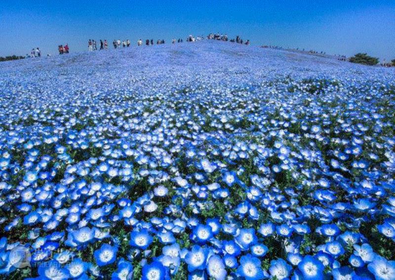 2016年最美的照片都在这了,国家地理杂志年度旅行照片,带你领略绝美地球 ,摄影,国家地理