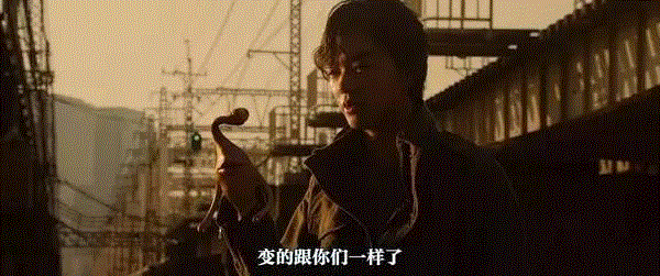 今年引进的日本电影数量破了历史之最！