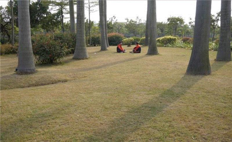 【正在展出】胡向前参加台北当代艺术中心群展“肖像摆”