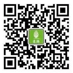 独处时，让字间的温度温暖自己 | 分享