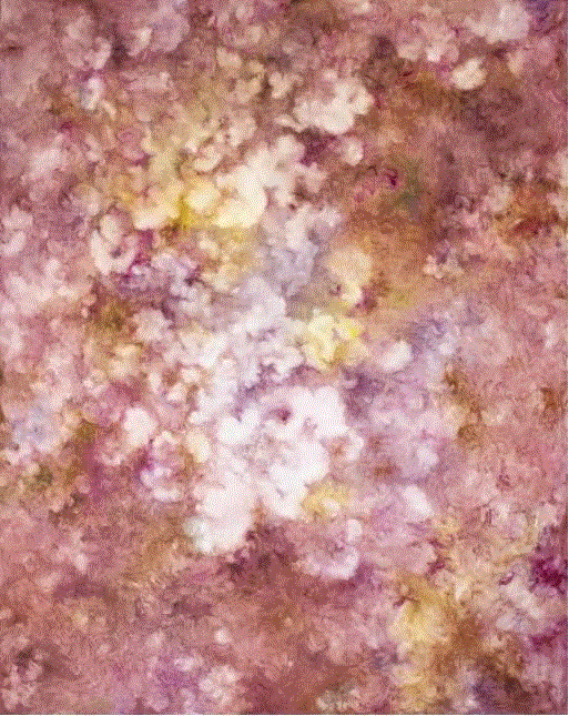 2016 ART021 参展画廊:GALLERY HYUNDAI