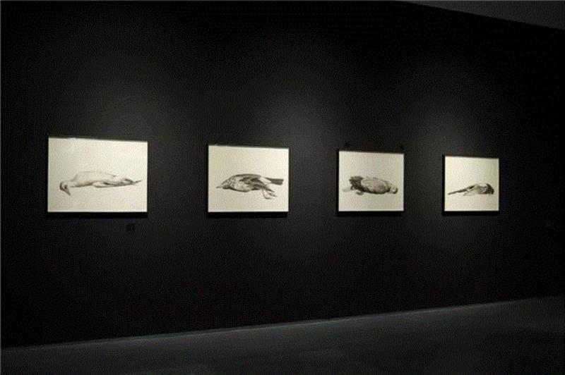 蜂巢现场 | 空间错置中的“野生动物” 宋陵新作捕捉抽离语境的物象