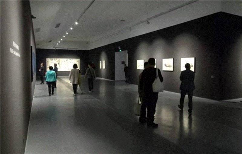 蜂巢现场 | 空间错置中的“野生动物” 宋陵新作捕捉抽离语境的物象