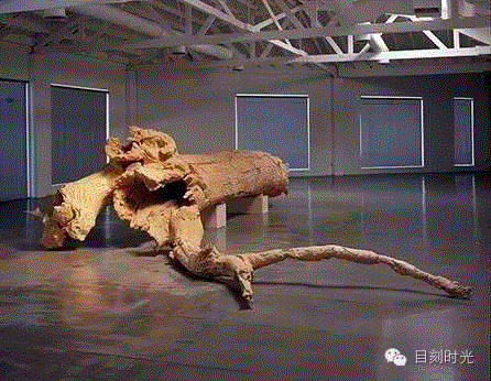 阿波罗杀蜥蜴 | 查尔斯·雷