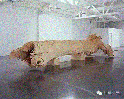 阿波罗杀蜥蜴 | 查尔斯·雷