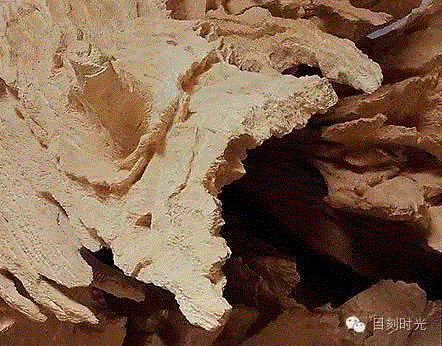 阿波罗杀蜥蜴 | 查尔斯·雷