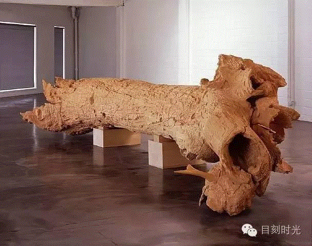 阿波罗杀蜥蜴 | 查尔斯·雷