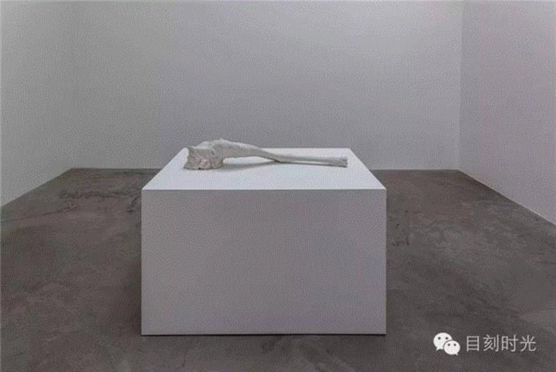 阿波罗杀蜥蜴 | 查尔斯·雷