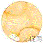 【2016CCLF·圆桌论坛】嘉宾大曝光——简耀宗：《喜羊羊与灰太狼》大电影高颜值导演来啦！