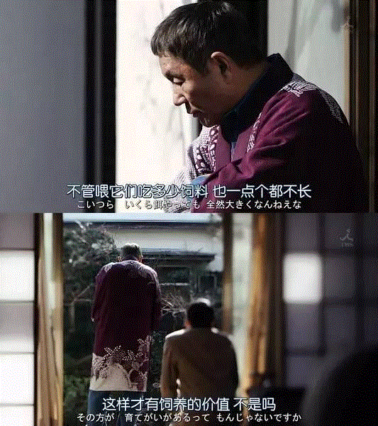 不仅郭曹互撕，日本相声师徒也有相爱相杀