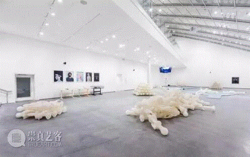 马修·巴尼要来中国了！5个要点梳理他从艺术到情感的一切,马修·巴尼(Matthew Barney),影像