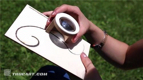 FEBO-Bring-the-sun-with-you11__880