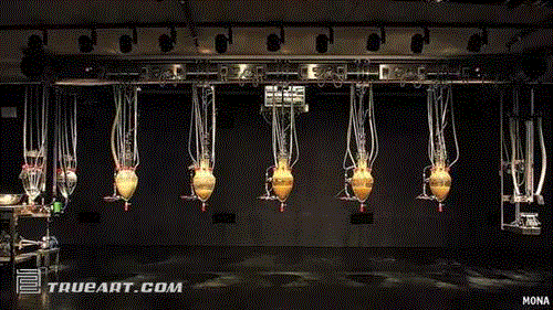 一个赌徒和他的博物馆