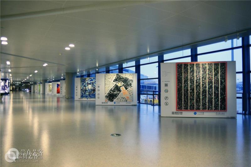 蔡玉龙狂草“心丝游笔”亮相虹桥T2艺术长廊 热点聚焦 rsquo 复合 心丝游笔 笔尖 虹桥T2艺术长廊 lsquo 符号 现象 蔡玉龙 狂草 崇真艺客