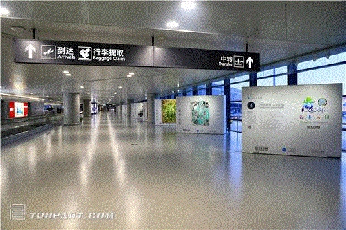 蔡玉龙狂草“心丝游笔”亮相虹桥T2艺术长廊 热点聚焦 rsquo 复合 心丝游笔 笔尖 虹桥T2艺术长廊 lsquo 符号 现象 蔡玉龙 狂草 崇真艺客