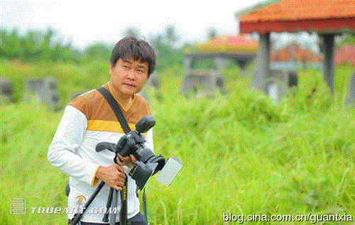 印尼摄影师微距拍昆虫酷似外星人(组图) 印尼摄影师微距拍昆虫酷似外星人(组图)