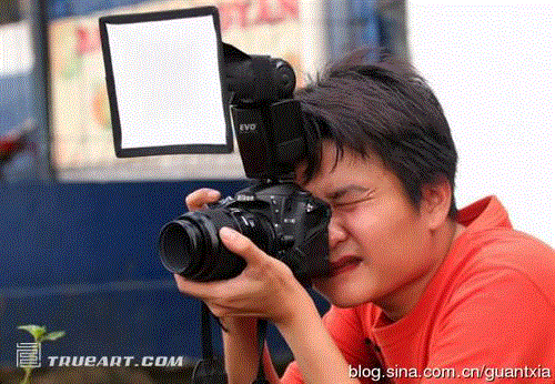 印尼摄影师微距拍昆虫酷似外星人(组图) 印尼摄影师微距拍昆虫酷似外星人(组图)