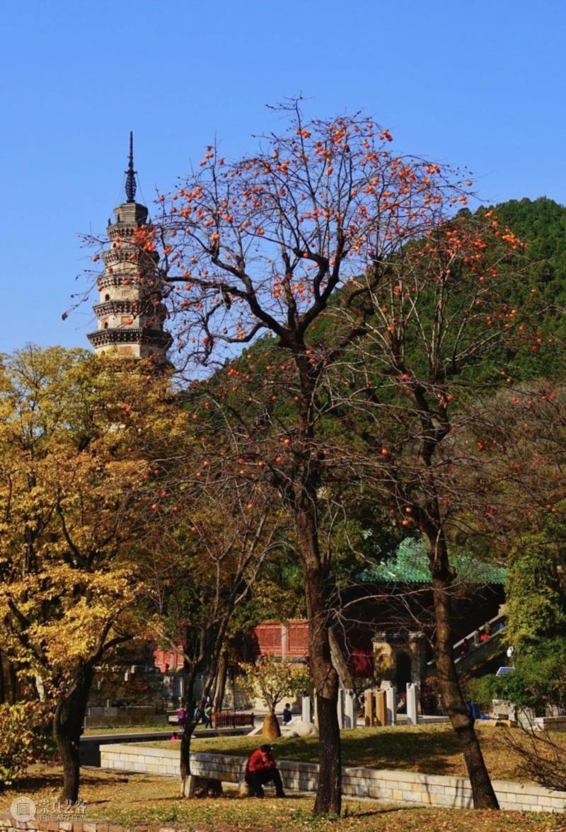 ?图虫：独守清江,济南游学丨名塑与梁思成（5月10日—5月12日）,济南,梁思成,灵岩寺,四门塔,石塔,神通寺,辟支塔,山东,龙虎塔,罗汉