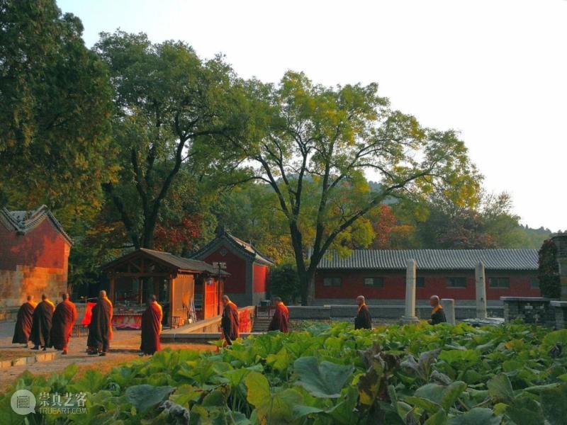 济南游学丨名塑与梁思成（5月10日—5月12日）,济南,梁思成,灵岩寺,四门塔,石塔,神通寺,辟支塔,山东,龙虎塔,罗汉